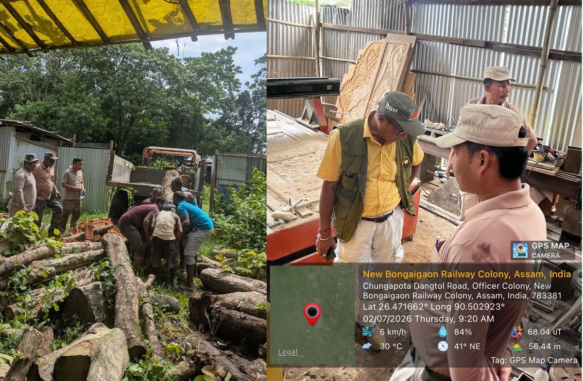 Forest raids seize illegal timber, bust sawmill in BTC