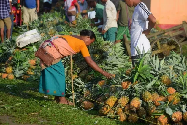 Assam Budget 2026–27: A Blueprint for Agricultural Transformation