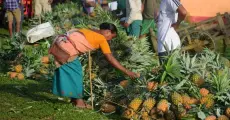 Assam Budget 2026–27: A Blueprint for Agricultural Transformation