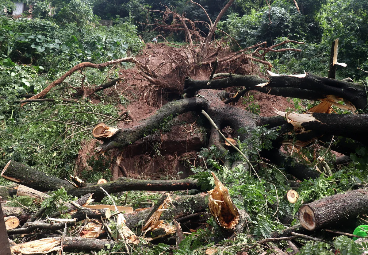 Guwahati on landslide alert as heavy monsoon rains expose vulnerable hill slopes — photo 3