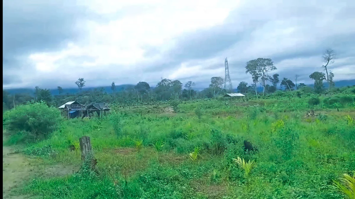 Illegal activities reported inside Sikhna Jwhwlao National Park