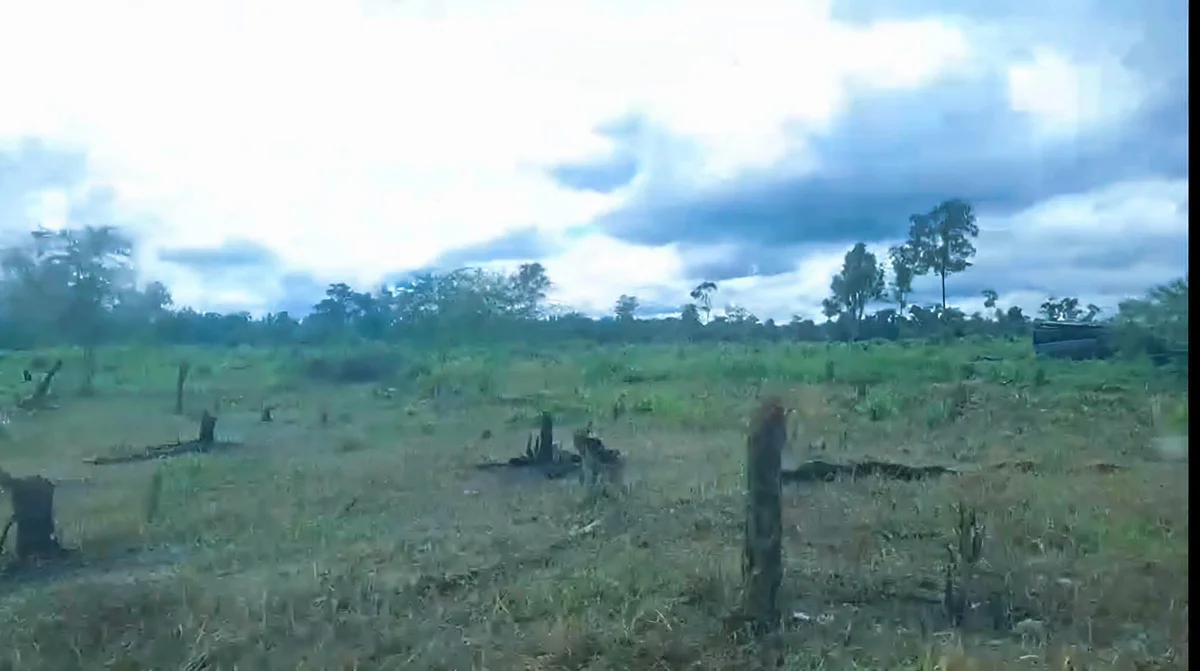 Illegal activities reported inside Sikhna Jwhwlao National Park — photo 1