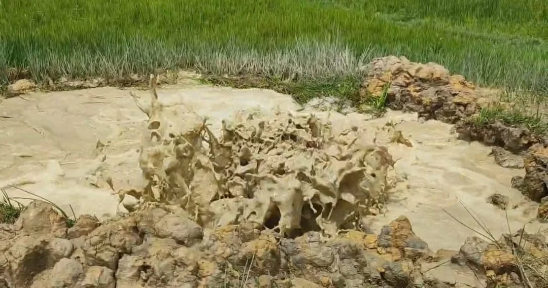 Prolonged Gas Leak from ONGC Pipeline Triggers Panic in Sivasagar Village — photo 1