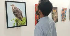 Art exhibition raises awareness for vulture conservation in Jorhat