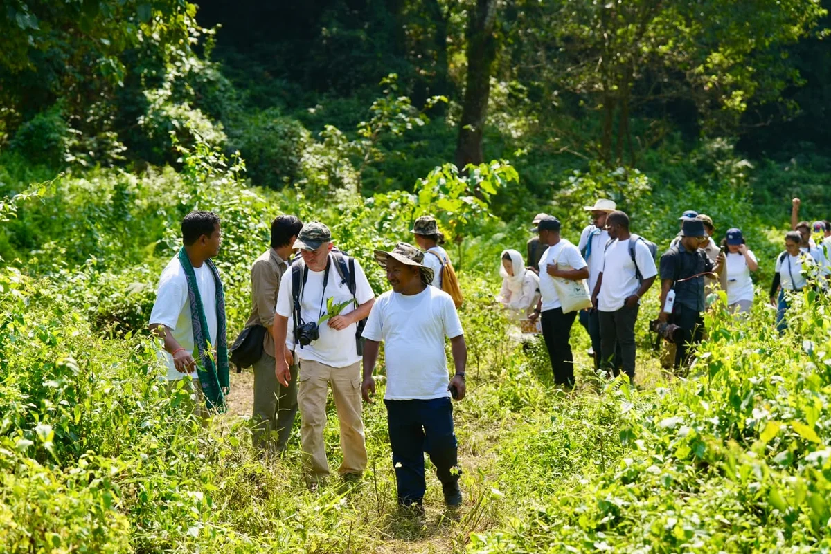 Butterfly Meet Documents Over 185 Species in Manas Landscape — photo 1