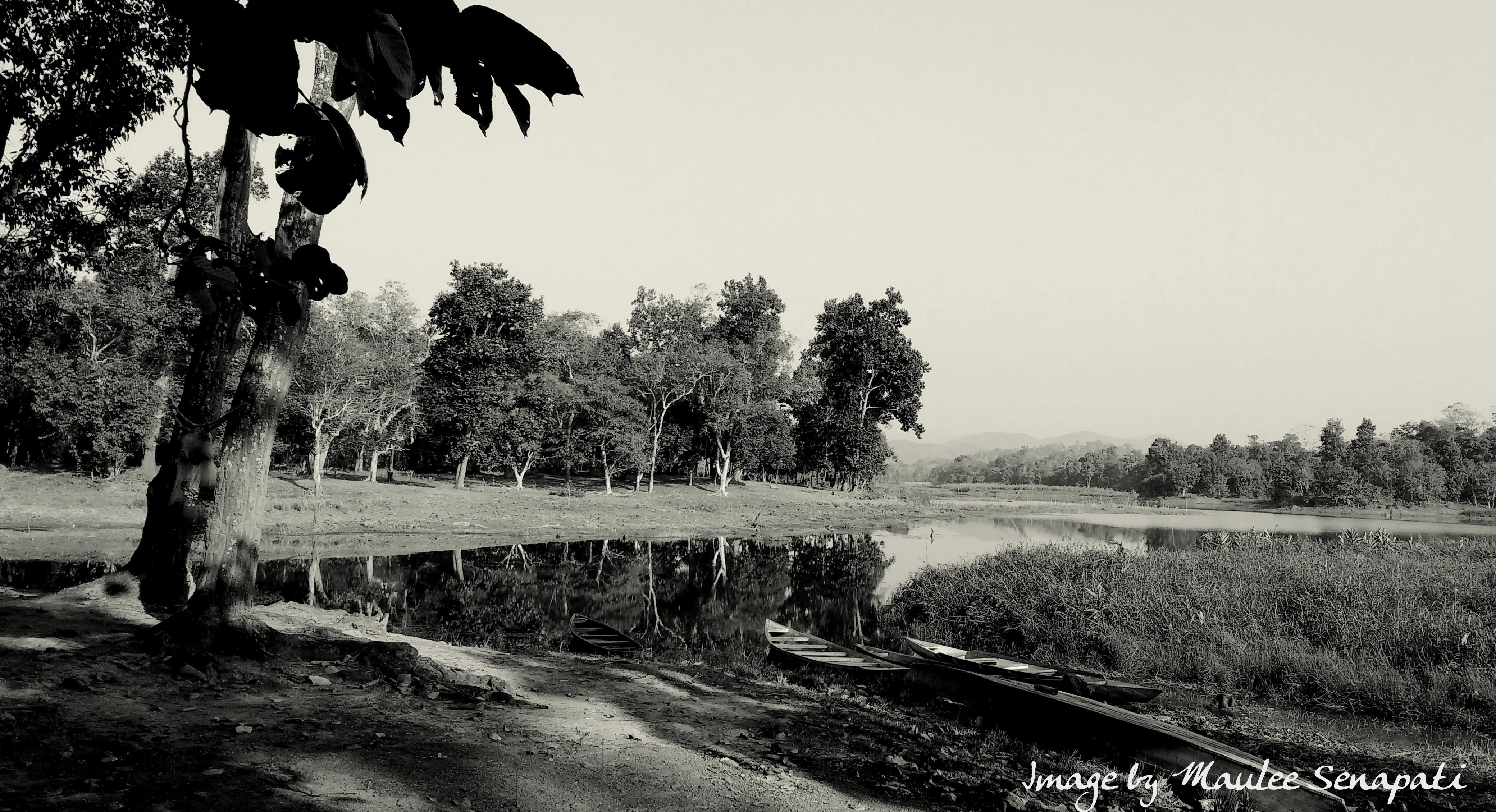 The ‘Empowered Women’ of Assam