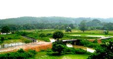SC concern over border influx