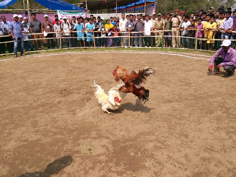 Baukhungri festival begins at Harinaguri 