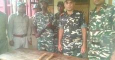 Elephant tusk seized