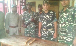 Elephant tusk seized