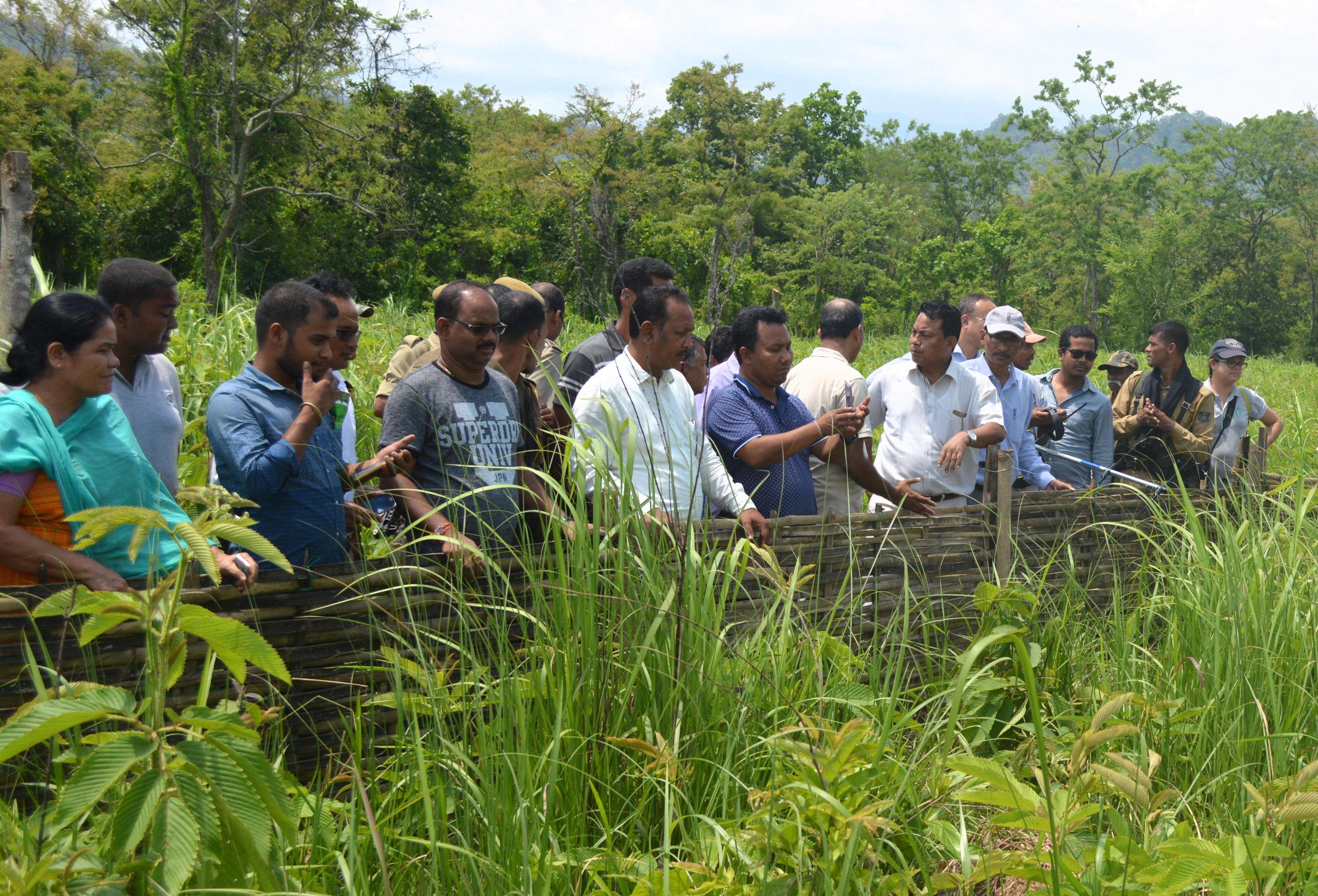 8 Pygmy Hogs restored in Barnadi WLS