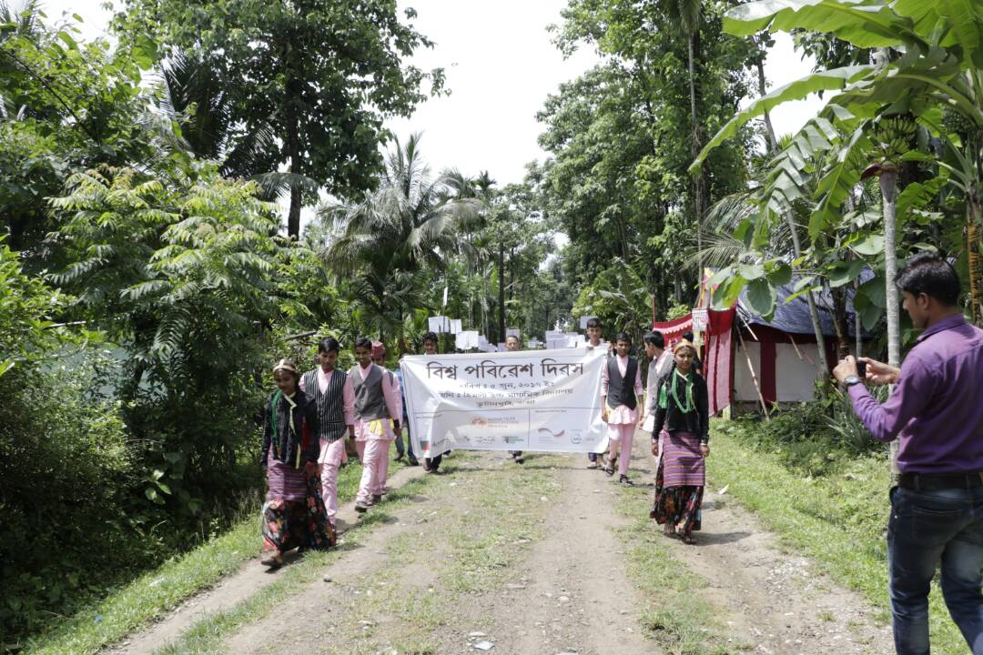 World Environment Day observed across Assam