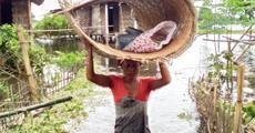Flood situation deteriorates, death toll rises to 31