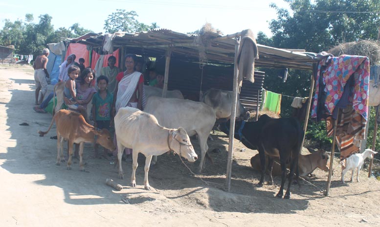 Beware Lakhimpur, more woes in store