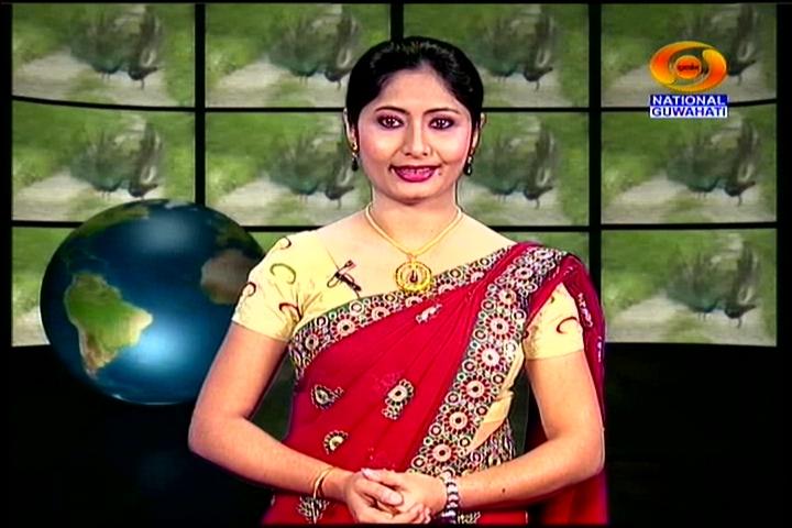 DD live program on present agricultural practices on Aug 2