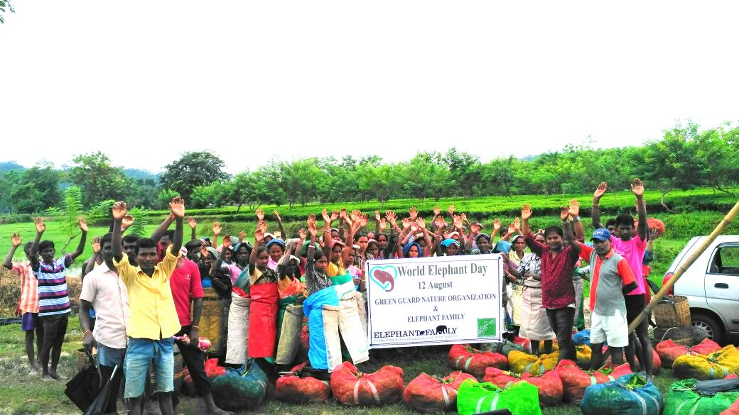 World Elephant Day observed at Nagaon