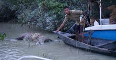 Recent deluge in Assam spell doom for Wildlife