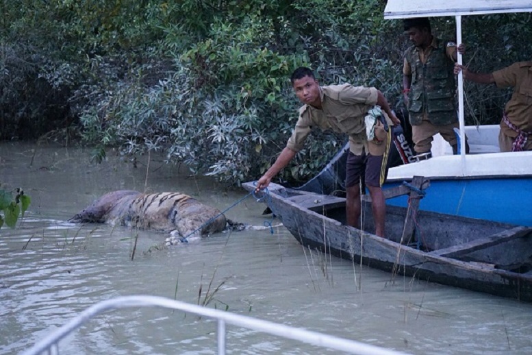 Recent deluge in Assam spell doom for Wildlife