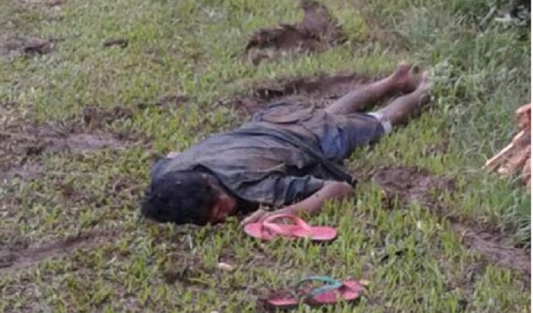 Elephant terror in Udalguri