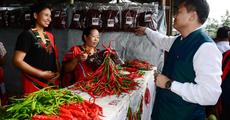 Taste of Manipur chillies