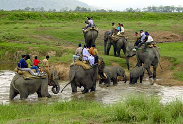 KNP to open on Oct 2