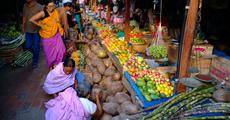 Rural women of substance