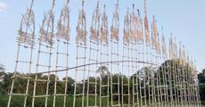 Kati Bihu fervour grips rural Assam