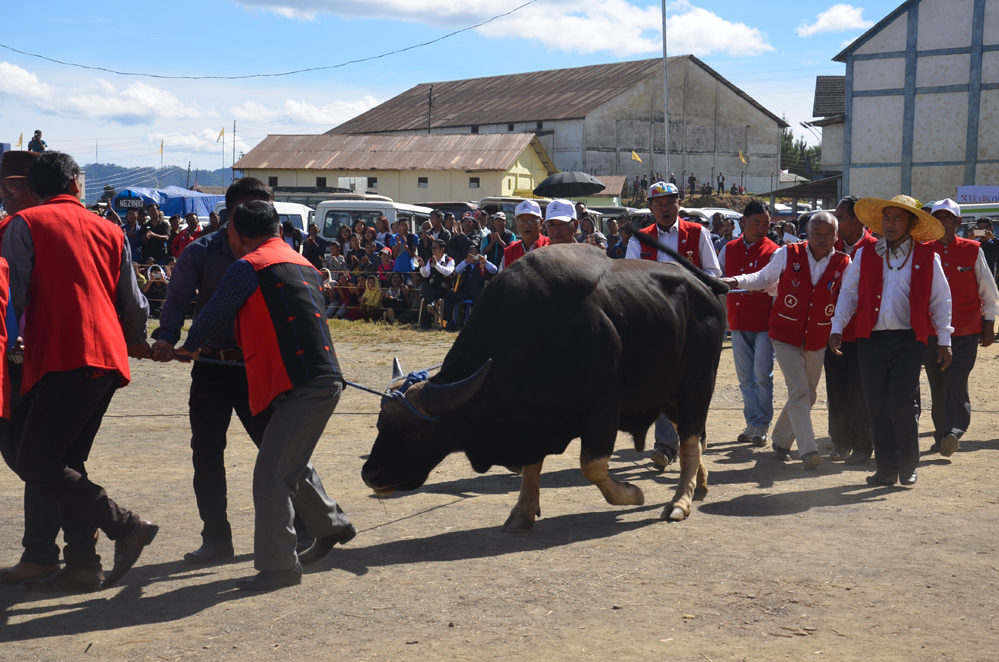 Festivity in Nagaland township