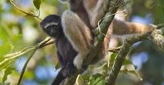 Joypore an emerging tourists' hotspot 