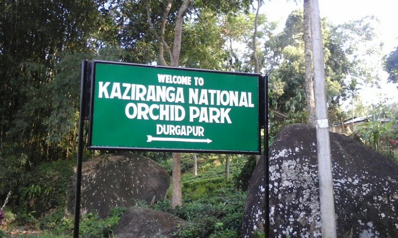 Raid at Orchid park in Kaziranga