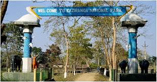 Gunfight in Kaziranga: poacher killed