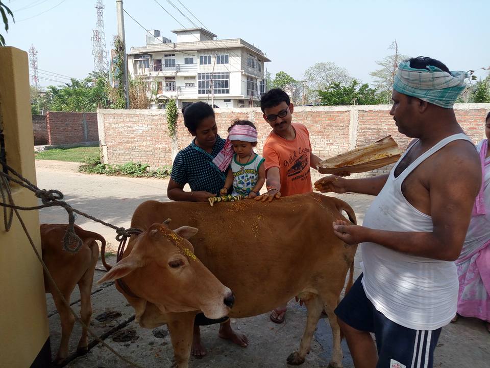 Share the joy of Goru Bihu