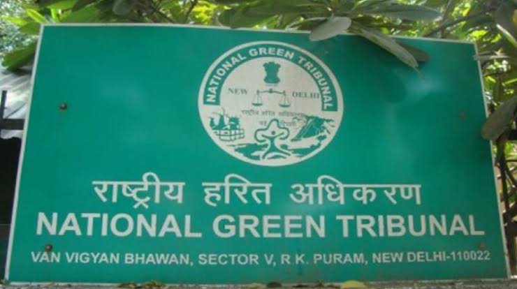 Setback for Centre: NGT for fresh panel to study megadam