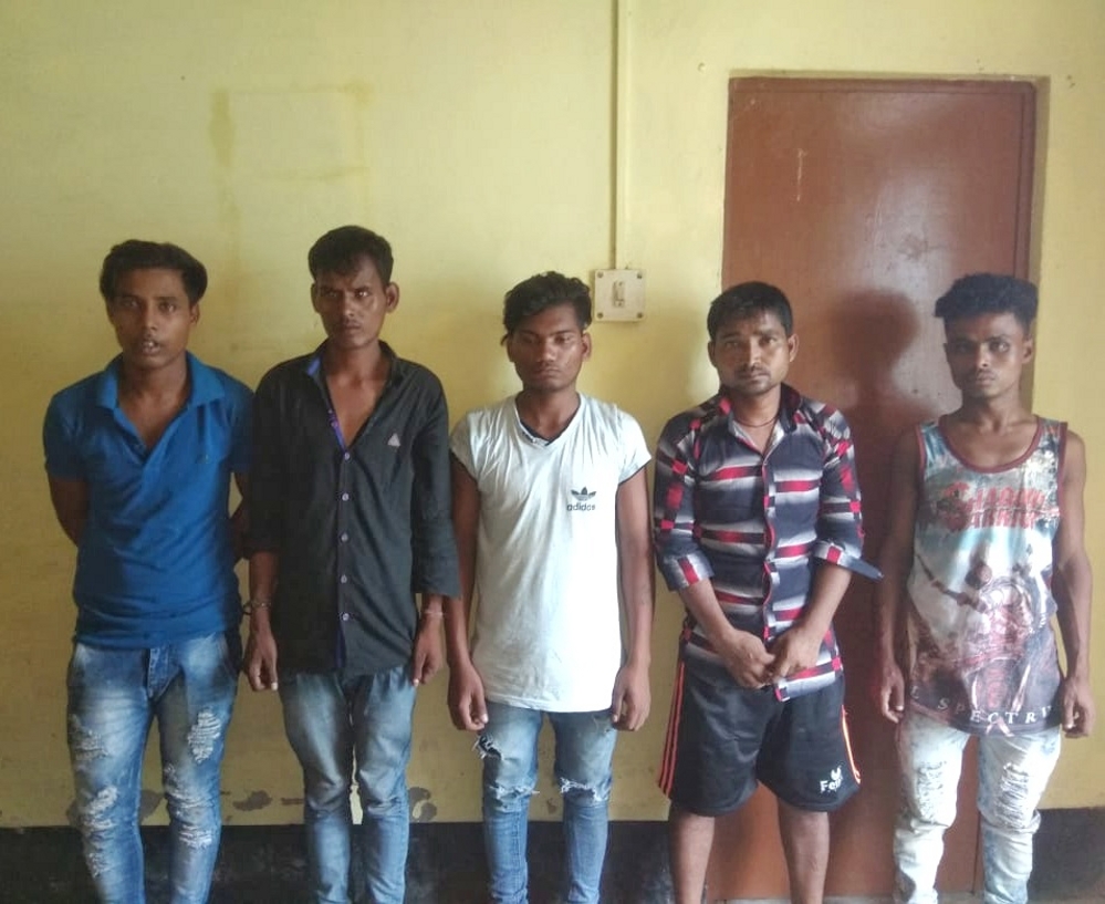 Gang of petty thieves apprehended
