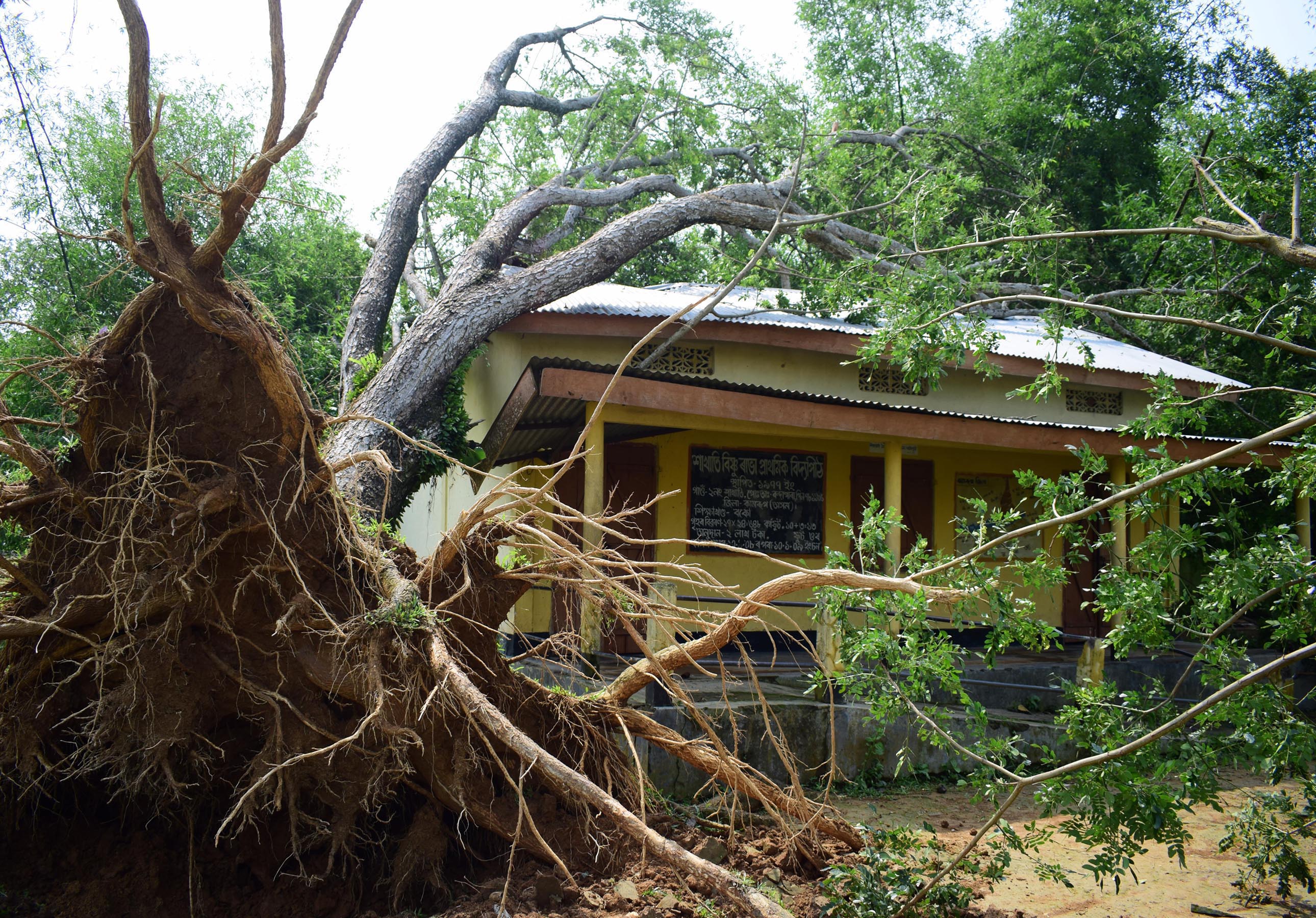 Ravaging storm revisits