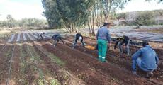 Agricultural literacy brings hope to unemployment in Morocco