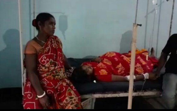 Boy trampled to death by wild elephants