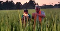 Kati Bihu celebrated