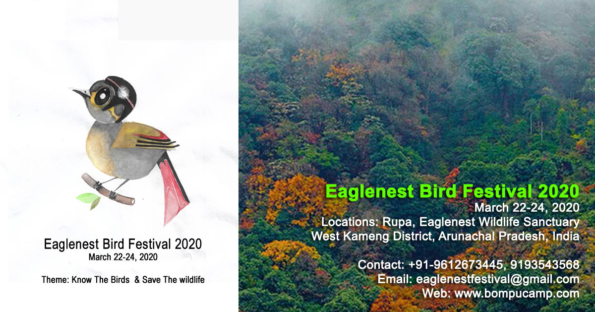 Eaglenest Bird festival, a bid to boost ecotourism in Arunachal Pradesh 
