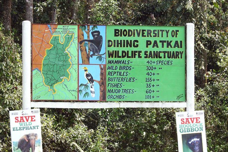 Save Saleki and Dehing Patkai Elephant Reserve from coal mining