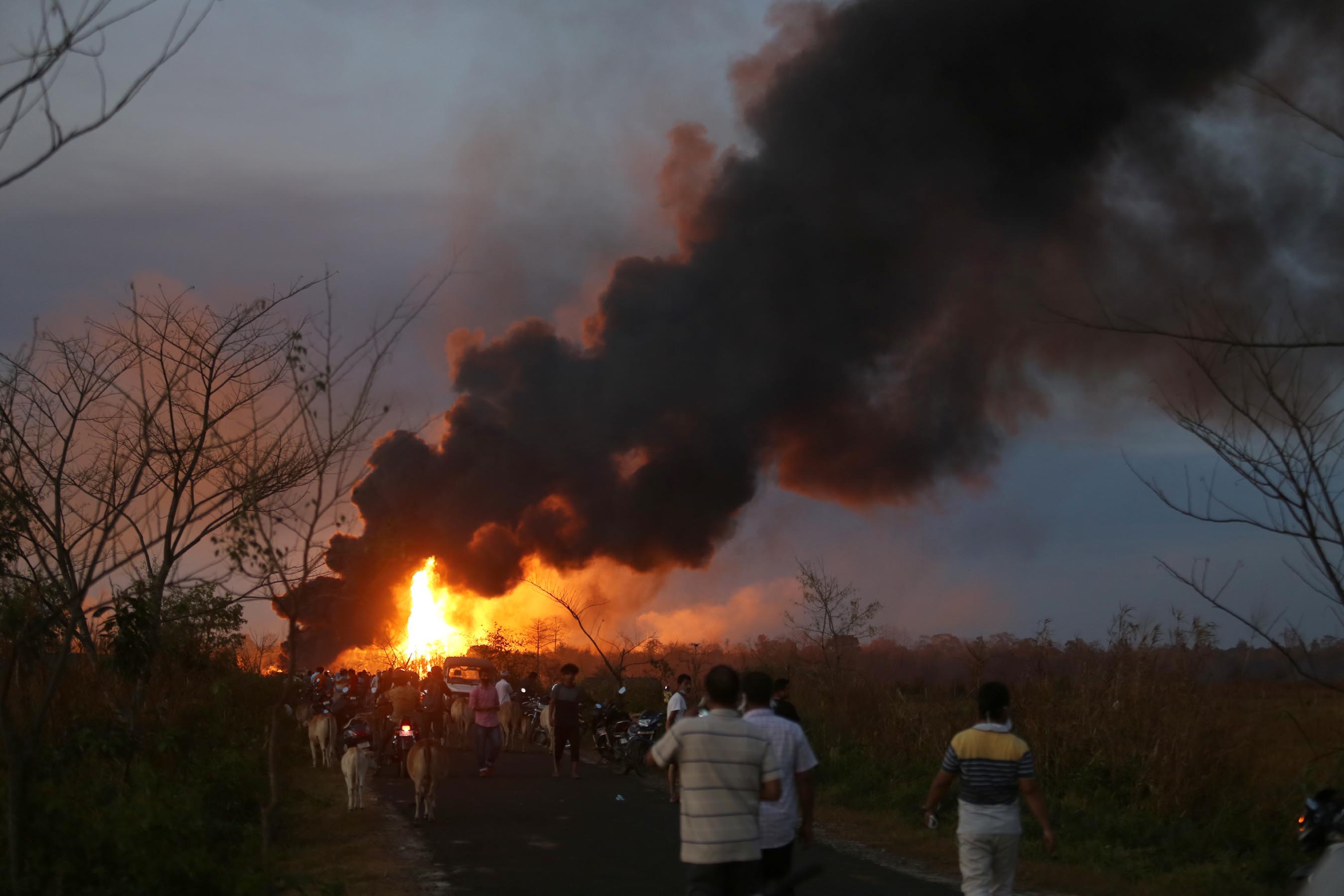 NGO urge government against pursuing unsustainable extractive industries