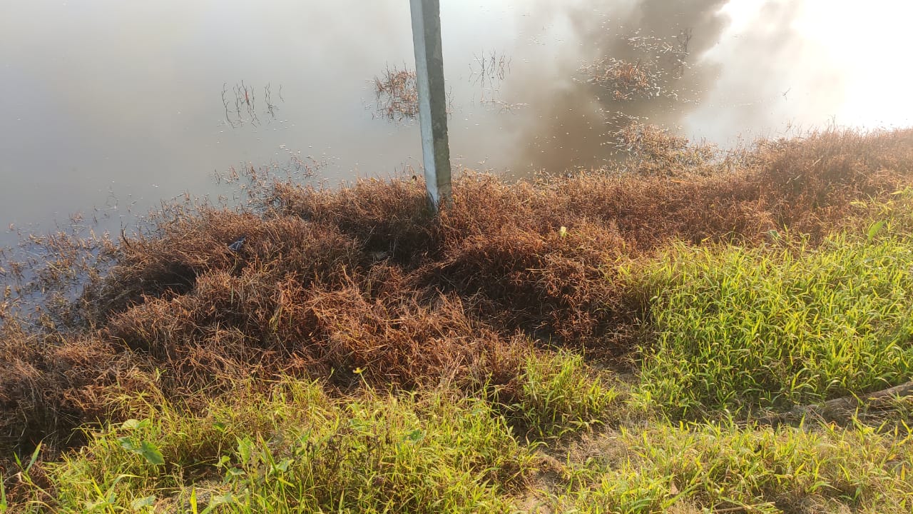 OIL urged to control the fire and restore environmental damage