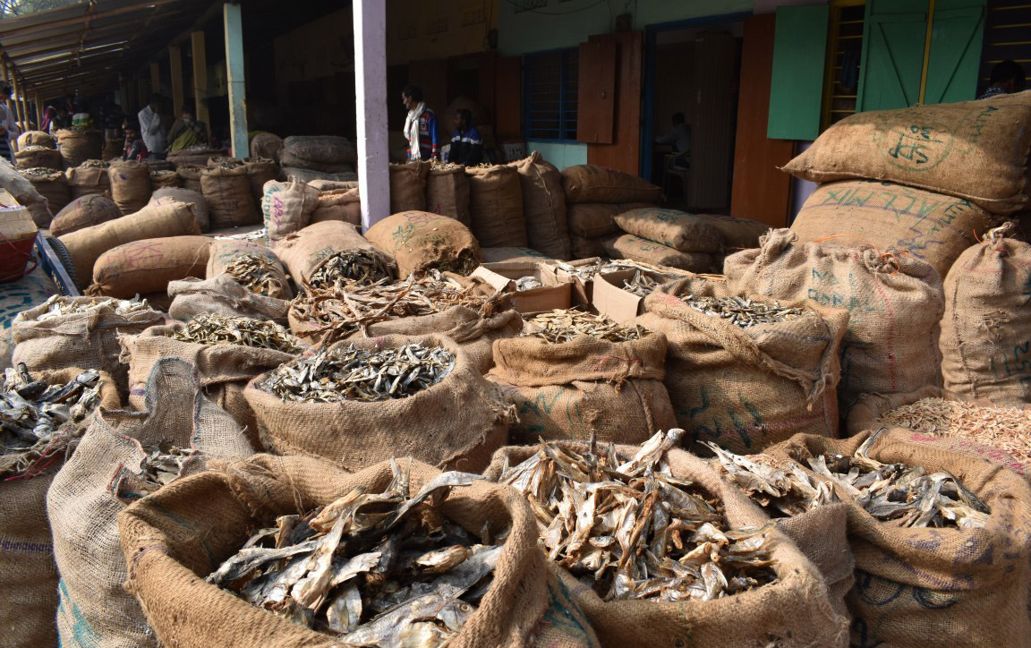 Illegal Bangladeshi fish traders hurting economy of Barak Valley markets