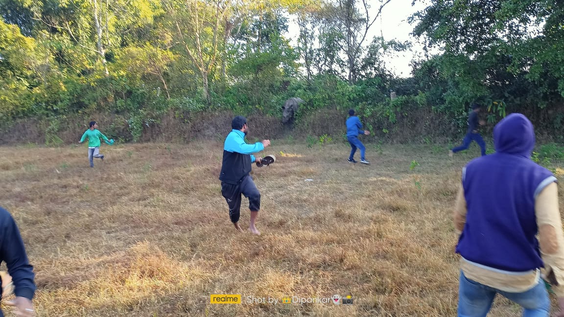 Rhinos graze at Nazira 