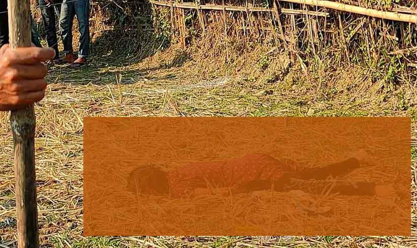19-Year-Old found dead in Cachar