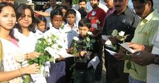 Appeal for Action with White Rose