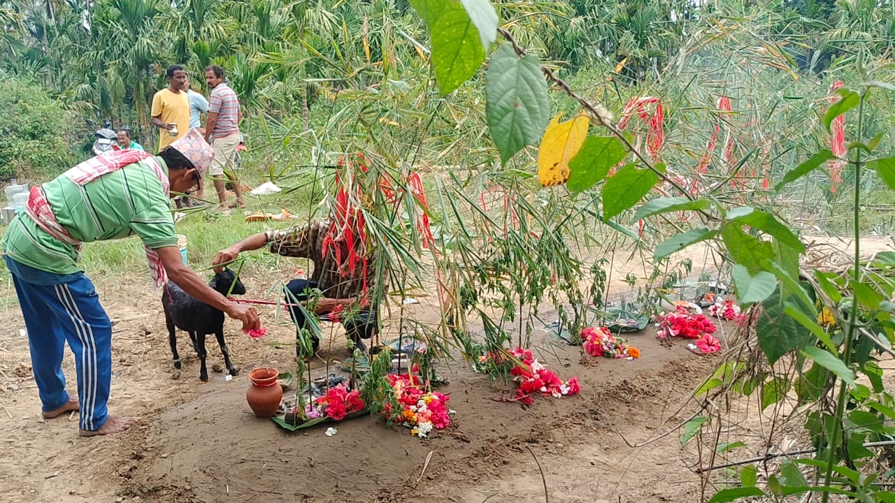  Gorkhas Celebrate Sansari Puja, Revering Earth as 'Mother' in Golaghat District