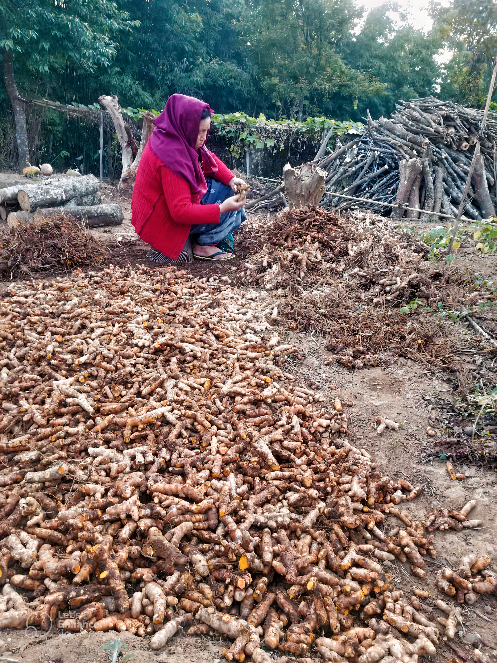 How Aranyam Naturals Transformed the Lives of Farmers in Meghalaya