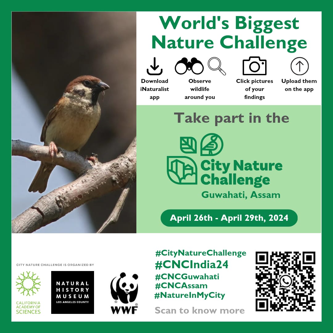 India Leads the City Nature Challenge with 206 Cities Participating