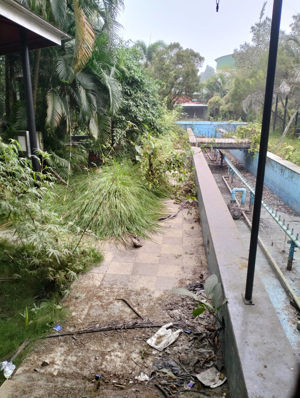 PFA urges govt to reopen Lakshminath Bezbarua  road